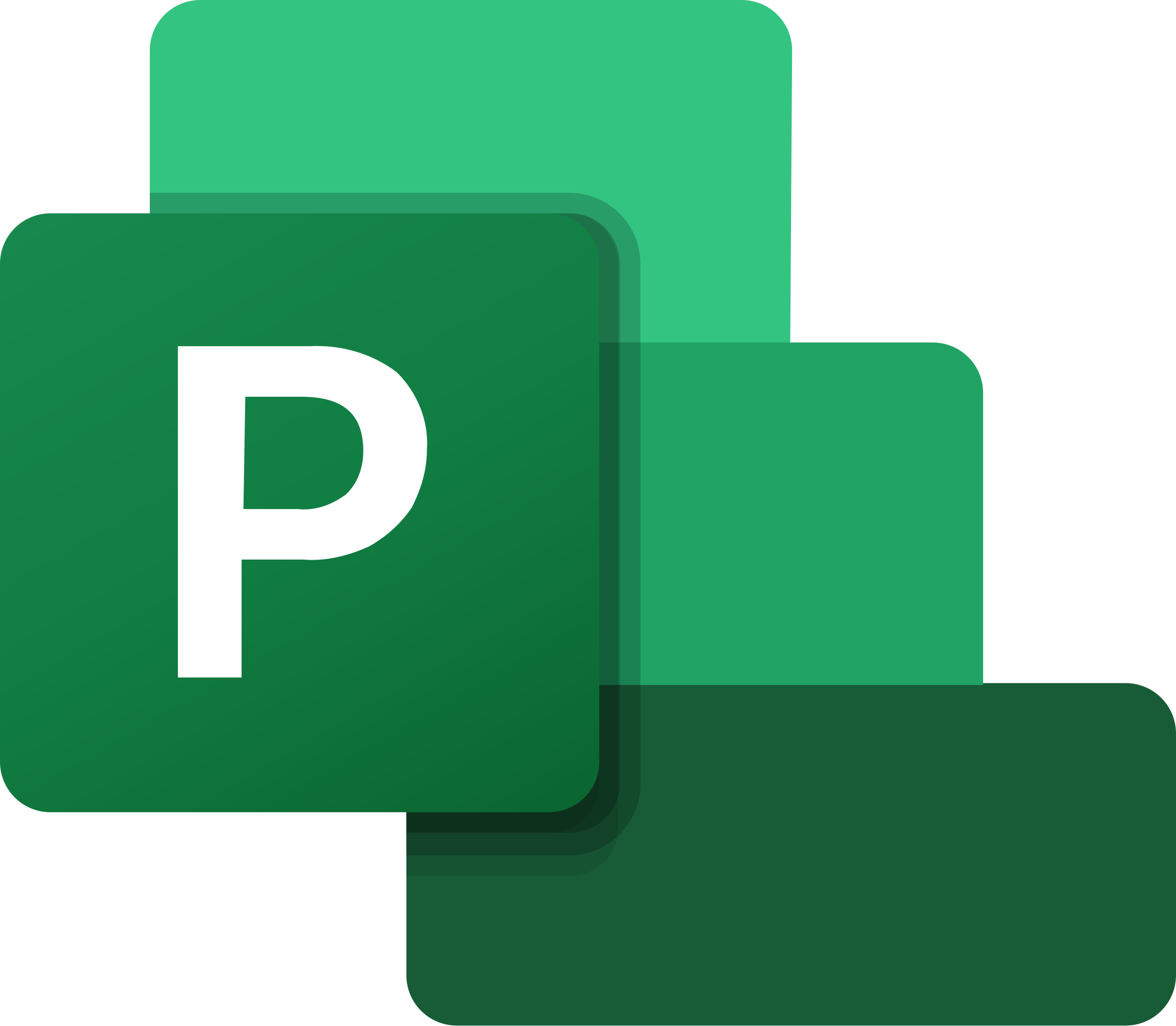 Microsoft Project cursus